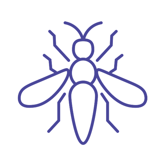 Insect cell expression